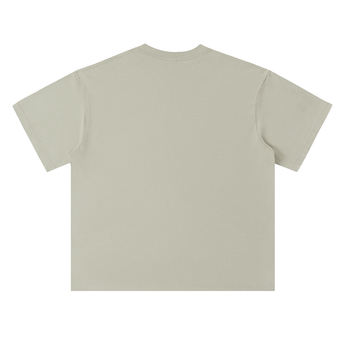 Roots Tee in Gray Green, back