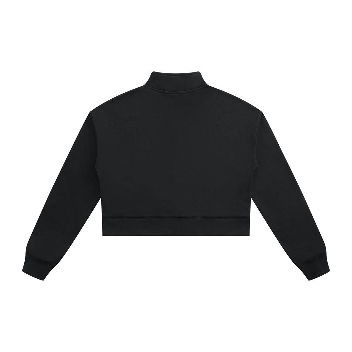 Roots Quarter Zip in Black, back